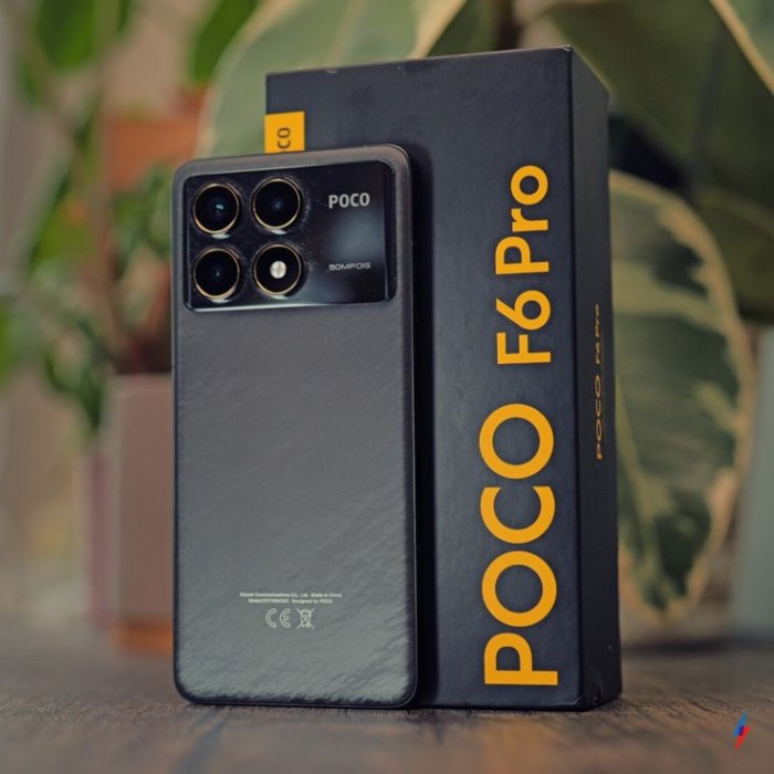 pocophone f6 pro